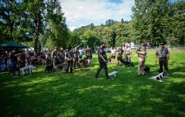 foto462