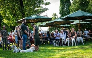foto460
