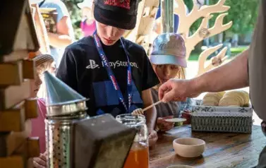 piknik012