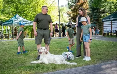 piknik153