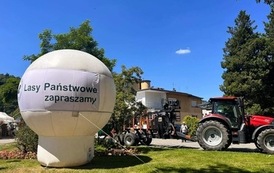 PIKNIK LEŚNY 2023 20