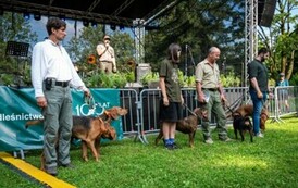 foto474