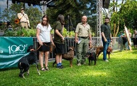 foto473