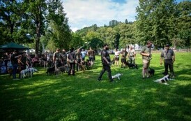 foto462