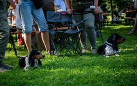 foto461