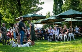 foto460