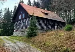 Dreniana leśnicz&oacute;wka we Flajsova