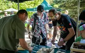 piknik011
