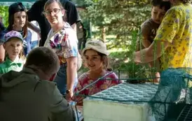 piknik010