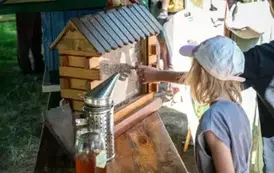 piknik008
