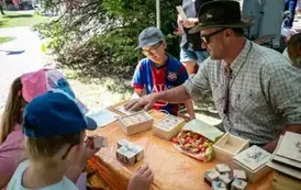 piknik006