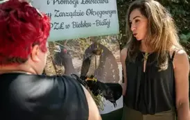 piknik005