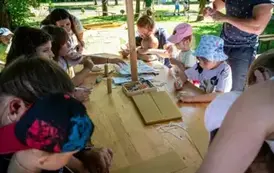 piknik016