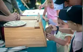 piknik029