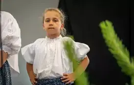 piknik078