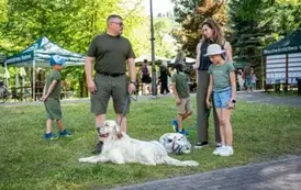 piknik153