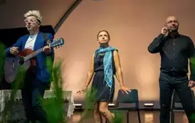 piknik243