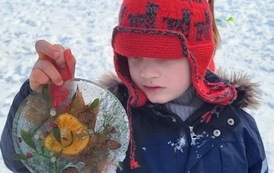 584fb849-eac6-4526-9c4f-09c397b73adc