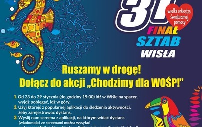 Zdjęcie do CHODZIMY DLA WOŚP