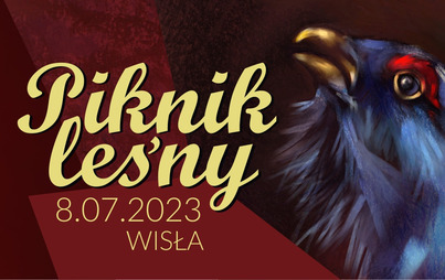 Zdjęcie do PIKNIK LEŚNY